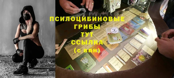 мескалин Коряжма