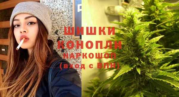 прущая мука Корсаков