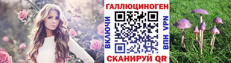 Псилоцибиновые грибы мицелий  Купить закладки  Приволжский 